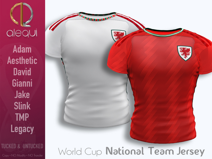 Second Life Marketplace AleQui World Cup Jersey Wales Soccer