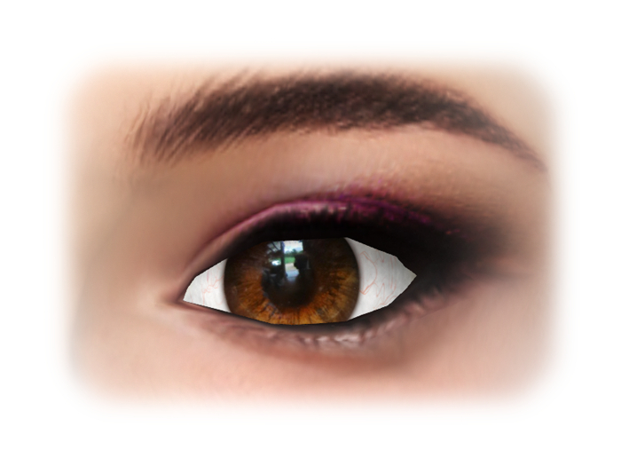 Shiny Eye Brown