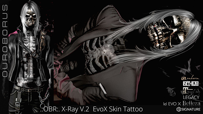 .:OBR:. X-Ray  EvoX