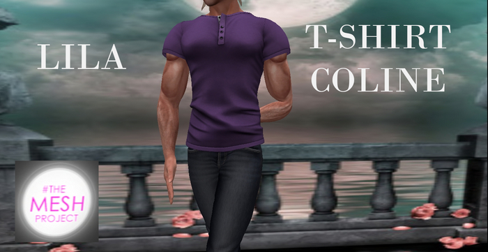 T-SHIRT COLINE - MANCHE COURTE - LILA - TMP 2