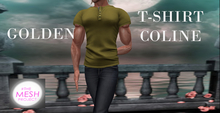 T-SHIRT COLINE - MANCHE COURTE - GOLDEN - TMP 2