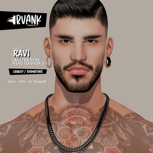 Irvank - Ravi Shape Lelutka Head EvoX Connor