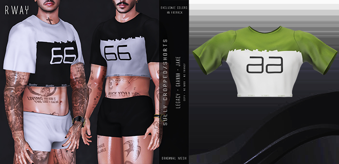 RWAY - Sully Military Cropped