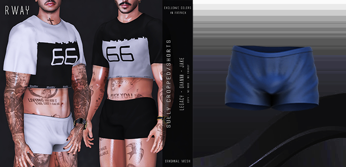 RWAY - Sully Blue Shorts