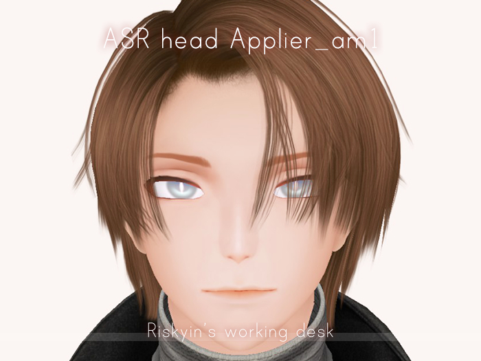<Ris> ASR head Applier_am1