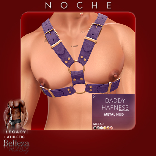 Noche. Daddy Harness Purple
