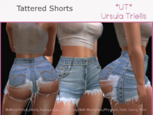 6623 Miranda Tattered Shorts - Blue Jeans