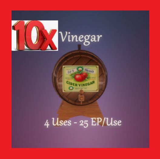 [10] DFS VINEGAR - ACTUAL ITEMS