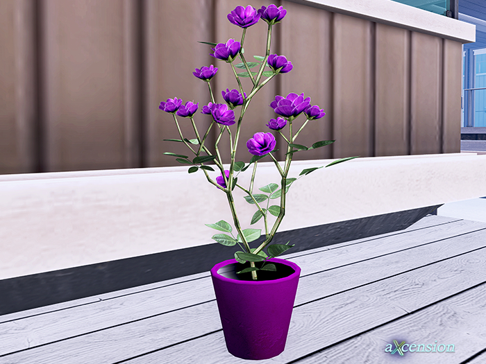 aX: Purple Flower Vase