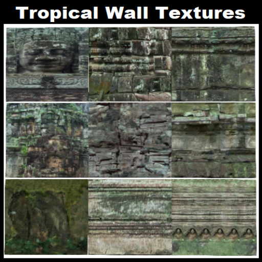 Tropical Wall Textures