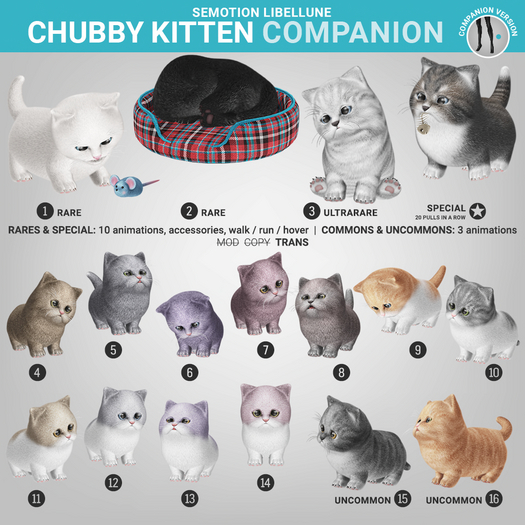 SEmotion Libellune Chubby Kitten Companion COMMON 10