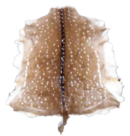 Deer Fur Rug Alpha Texture - Full Perm