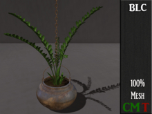 BLC haning fern bronze