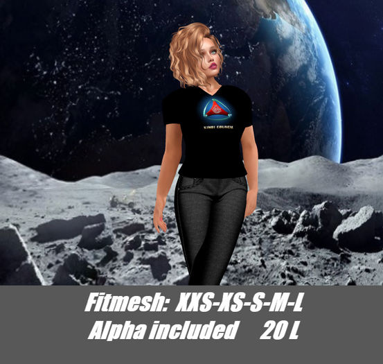 Xindi Council-Ladies v-neck shirt