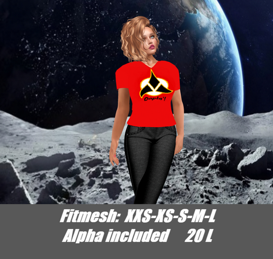 Klingon-Qapla'!-Ladies v-neck shirt