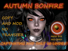 Autumn Bonfire