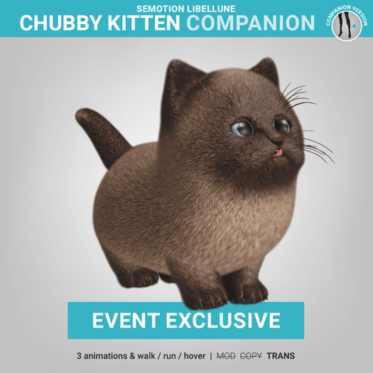 SEmotion Libellune Chubby Kitten Companion EXCLUSIVE