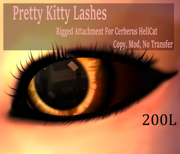 .Babe. Pretty Kitty Lashes