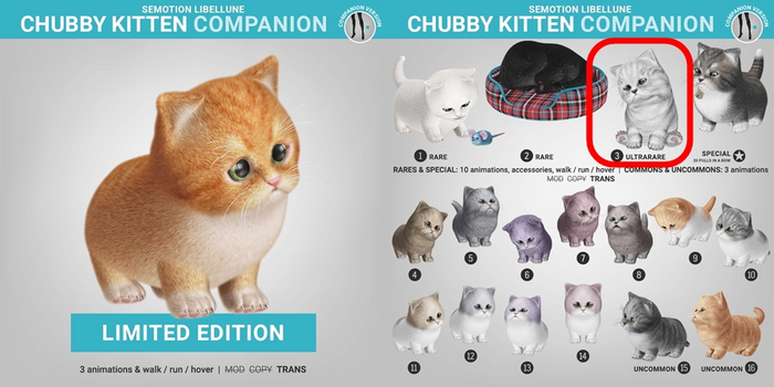 SEmotion Libellune Chubby Kitten Companion ULTRARARE 03