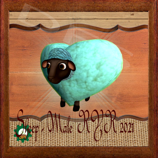 DFSTexture- Sheep - Male (RYR 2021)