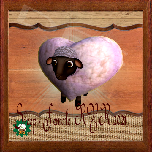 DFSTexture- Sheep - Female (RYR 2021)