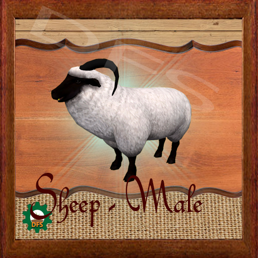 DFSTexture- Sheep - Male