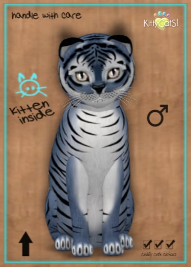 MEGAPUSS: KittyCatS Box - Tiger! - Dusky Winkle - MegaPuss