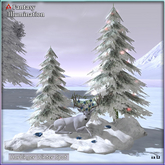 Winter Scene - Harbinger Winter Spot - winter trees, Harbinger, Harbinger Winter Scene