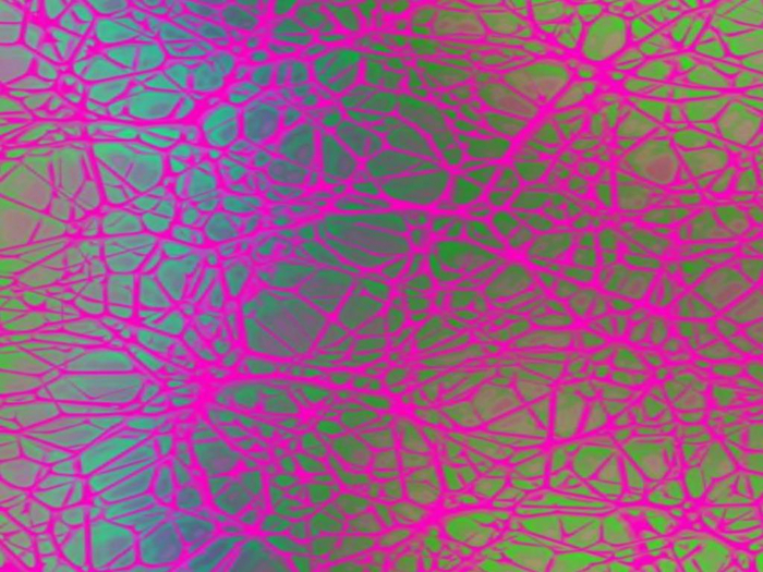 Pink Webs Texture