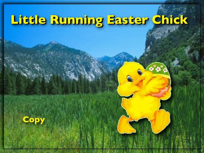 Little Running Easter Chick - Too Cute!