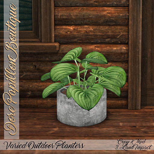 DPB Hosta Planter - Cement 3Li