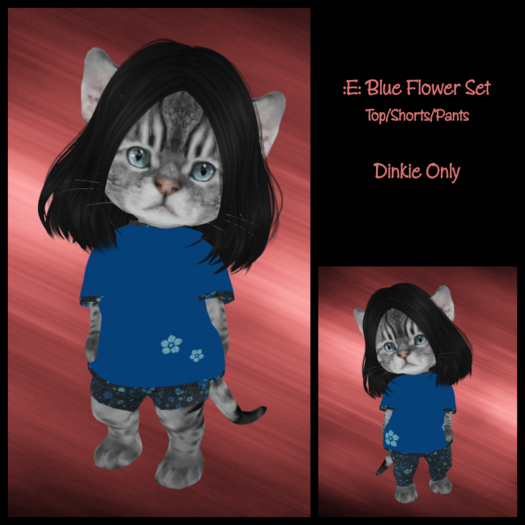 :EF: Blue Flower Outfit