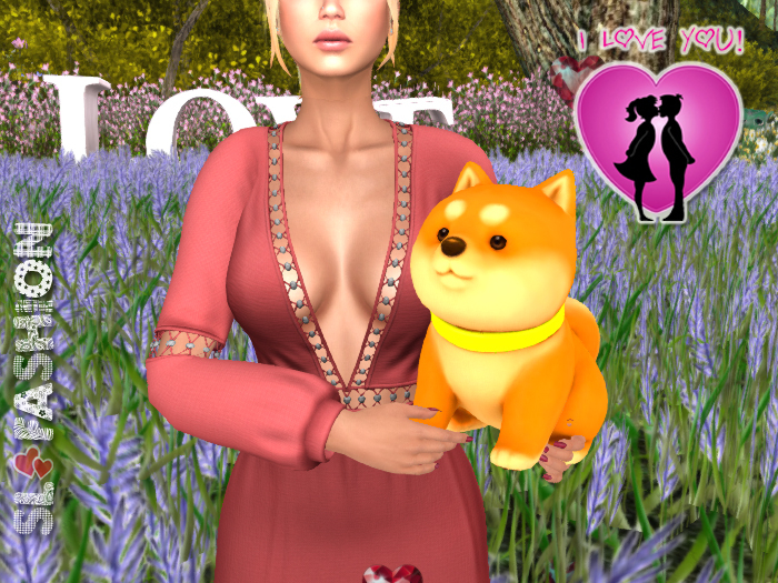 TOYS - Furry shiba - Orange