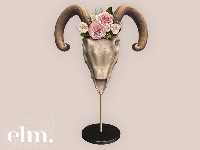 Elm. Aries Ram Skull [Natural]