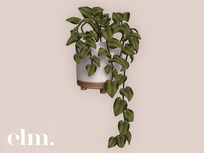 Elm. Aries Plant [White]