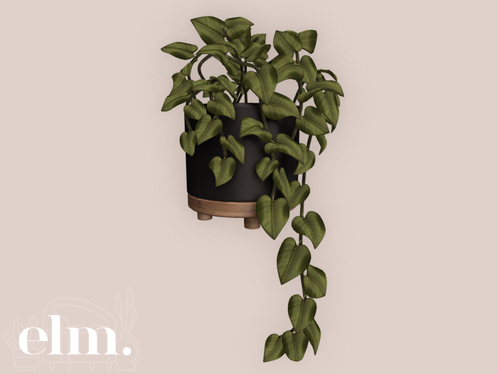Elm. Aries Plant [Black]