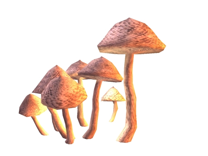 Toadstools - Edible mushroom - only 1 prim!