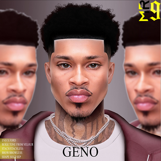Geno Skin Shape (EVO X)