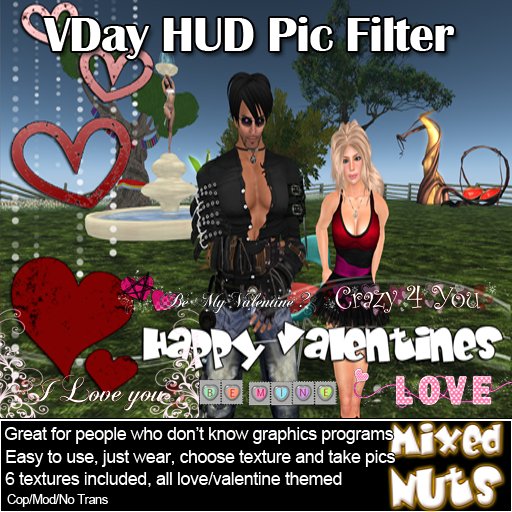 MN - Valentine's Day - Pic Filter  HUD