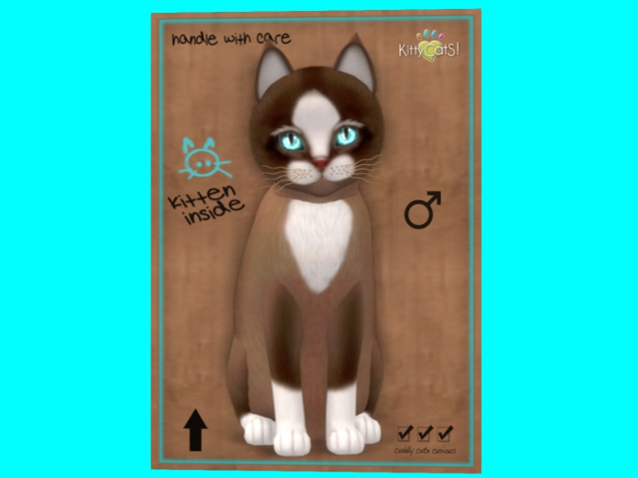 Second Life Marketplace KittyCatS Box 9T Chateau Cat Toffee Caramel Male