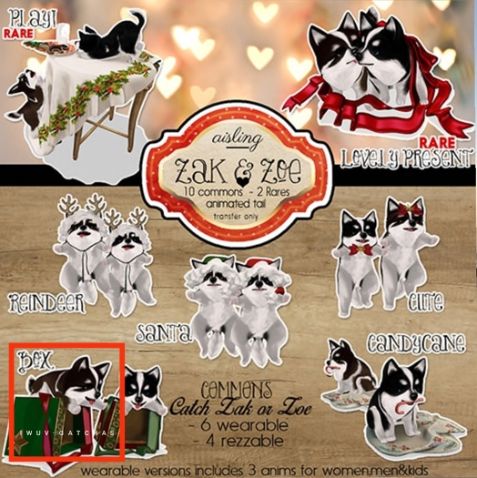 .aisling. Zoe -Box-