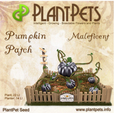 SALE PlantPet Seed [Pumpkin Patch *Maleficent*] - common - free breeding - no extra costs