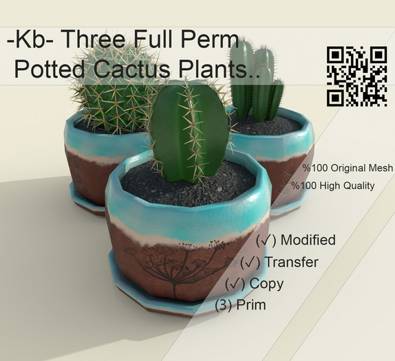 -Kb- Cactus full perm BOX