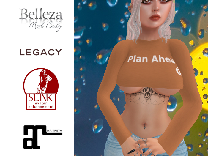 Plan Ahead LS Crop Top 