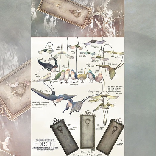4){anc} forget. Swallow [sugerwhite]