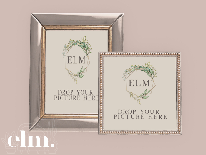 Elm. Nia Frame [Silver]