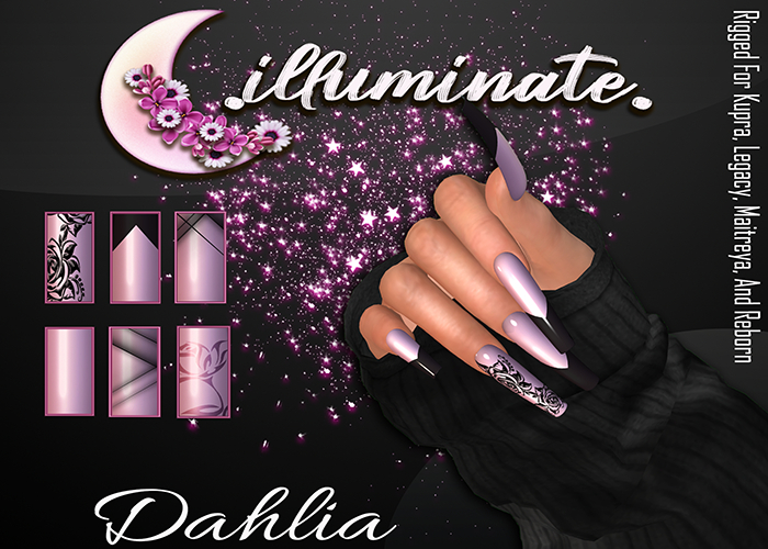 .illuminate. - Dahlia