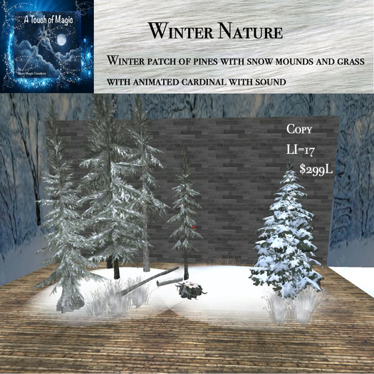 Winter Nature patch with animated cardinal-Box LI=17