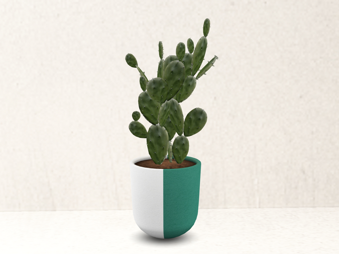 Planted. Green Pot + Plant 