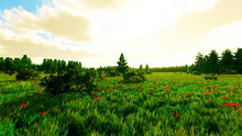 No Mans Plains 8x4.5